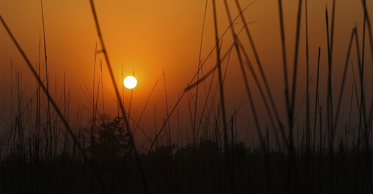 Sunset in Bardia National Park Nepal